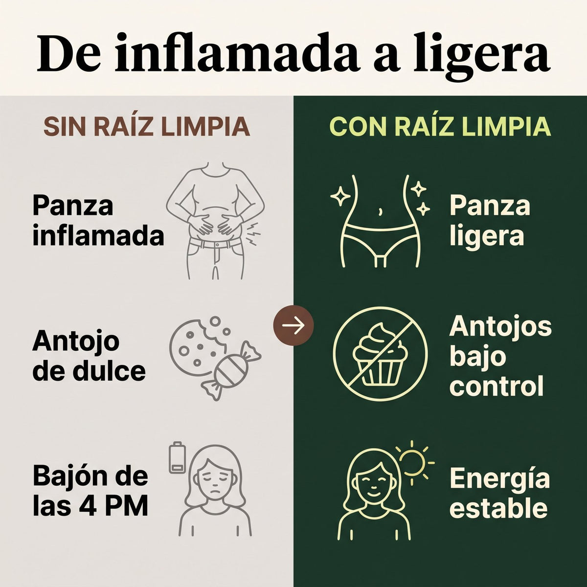 Raíz Limpia® · Depurativo intestinal 14 días